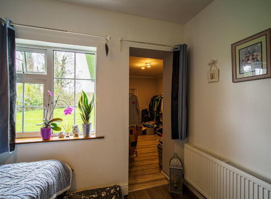Camas, Newcastle West, V42AX50