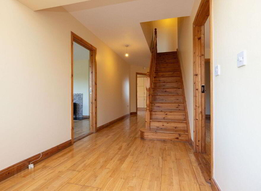 Ballyhast, Castletown-Geoghegan, N91H326