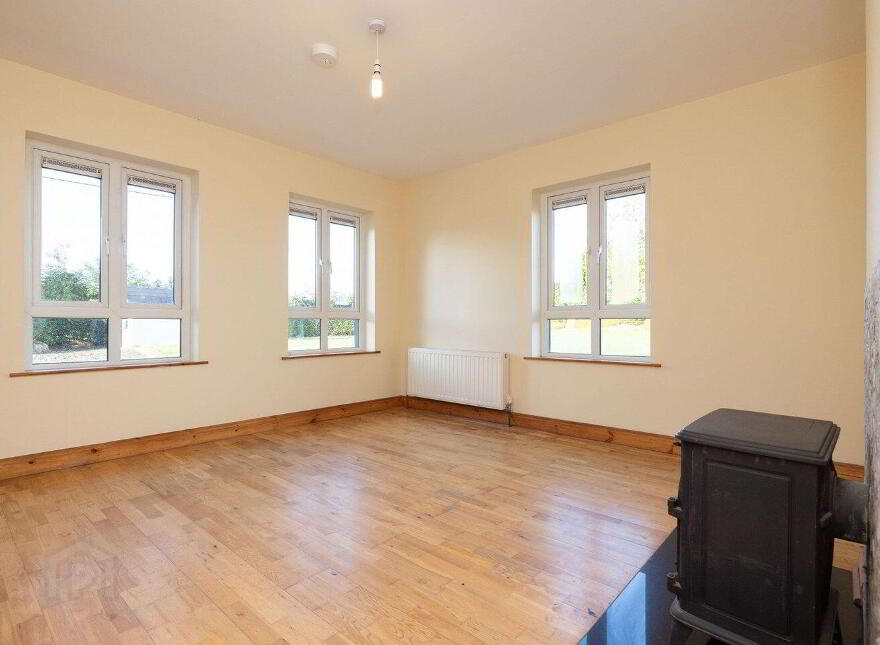 Ballyhast, Castletown-Geoghegan, N91H326