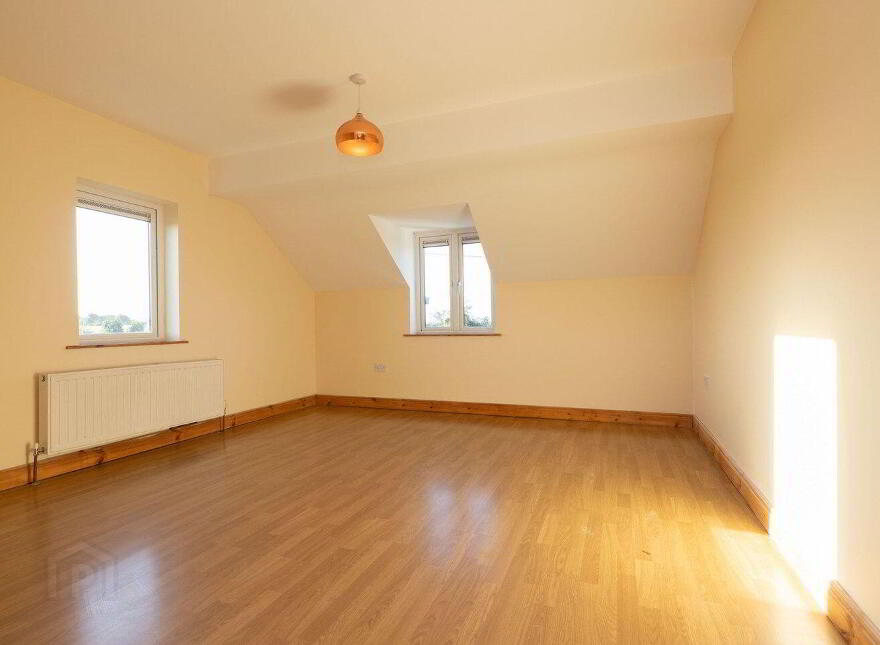 Ballyhast, Castletown-Geoghegan, N91H326