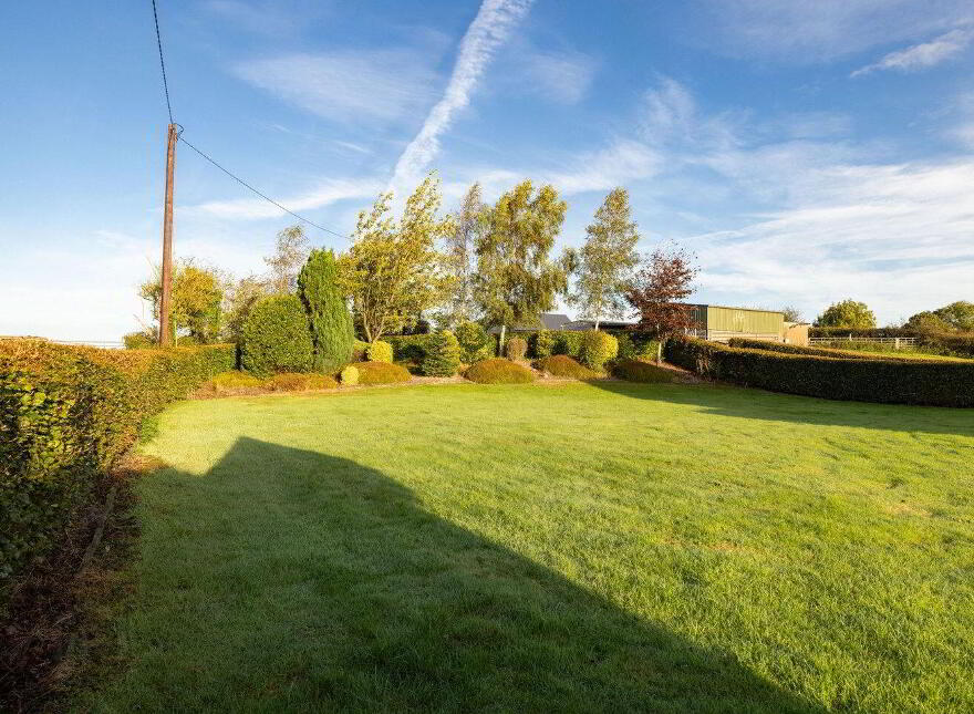 Ballyhast, Castletown-Geoghegan, N91H326