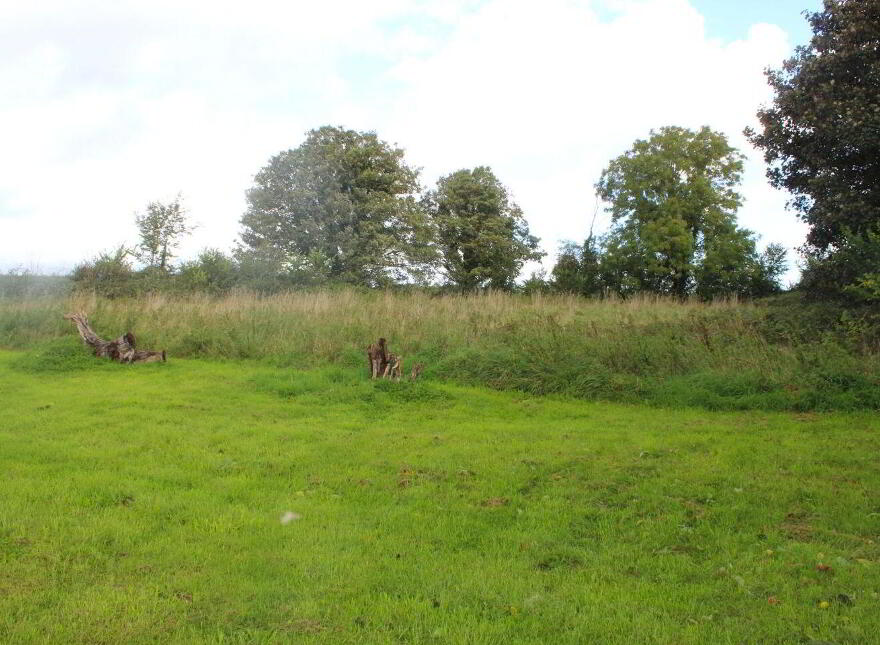 Ballinamona, Golden, Cashel, E25FE89