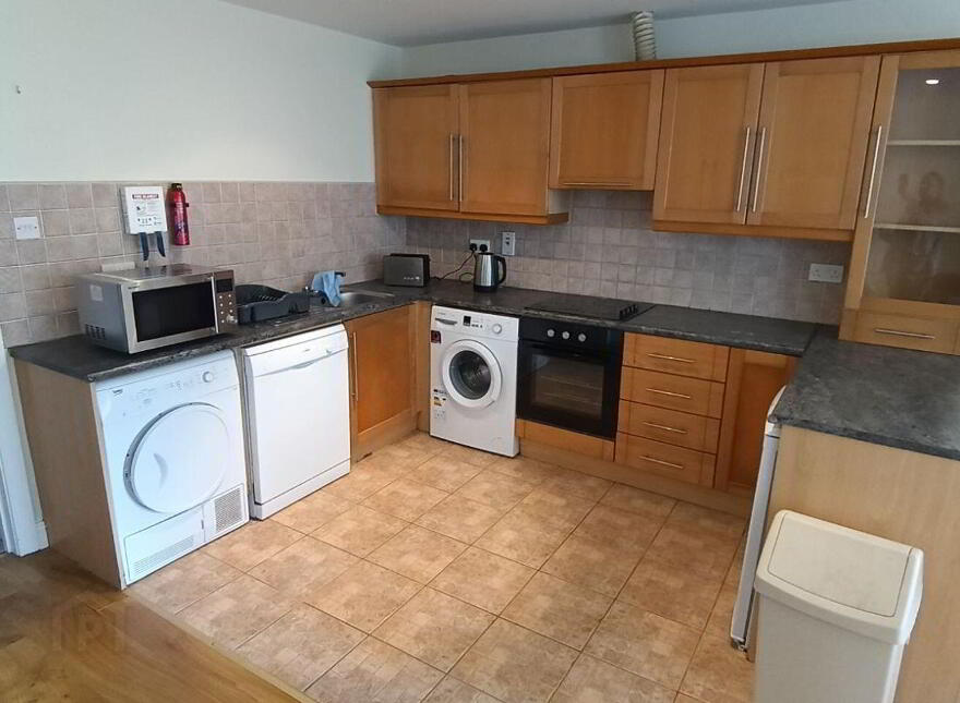 Dooradoyle Park, Dooradoyle, V94W524