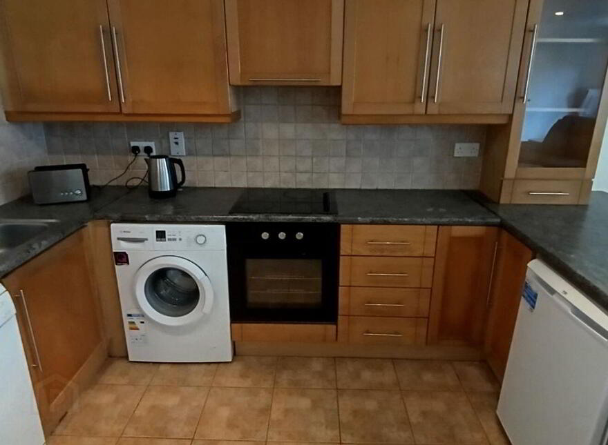 Dooradoyle Park, Dooradoyle, V94W524