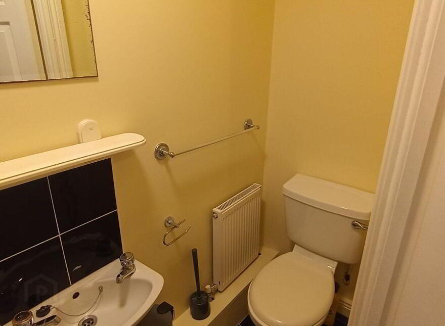 Dooradoyle Park, Dooradoyle, V94W524