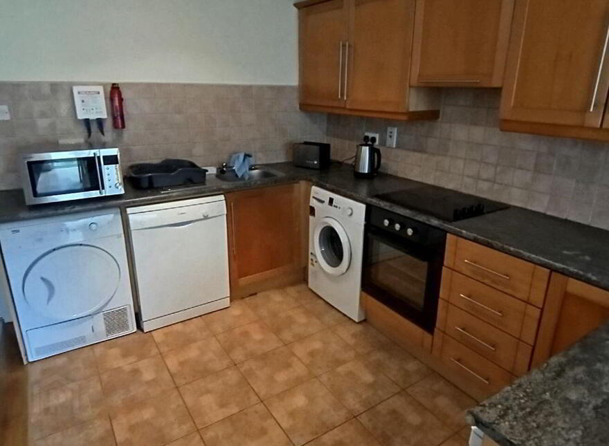 Dooradoyle Park, Dooradoyle, V94W524