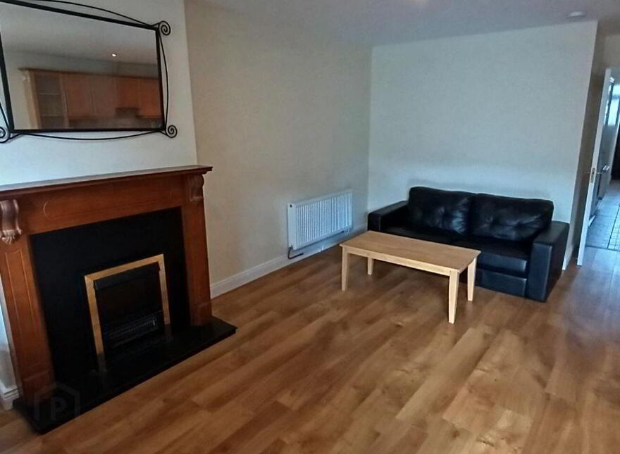 Dooradoyle Park, Dooradoyle, V94W524