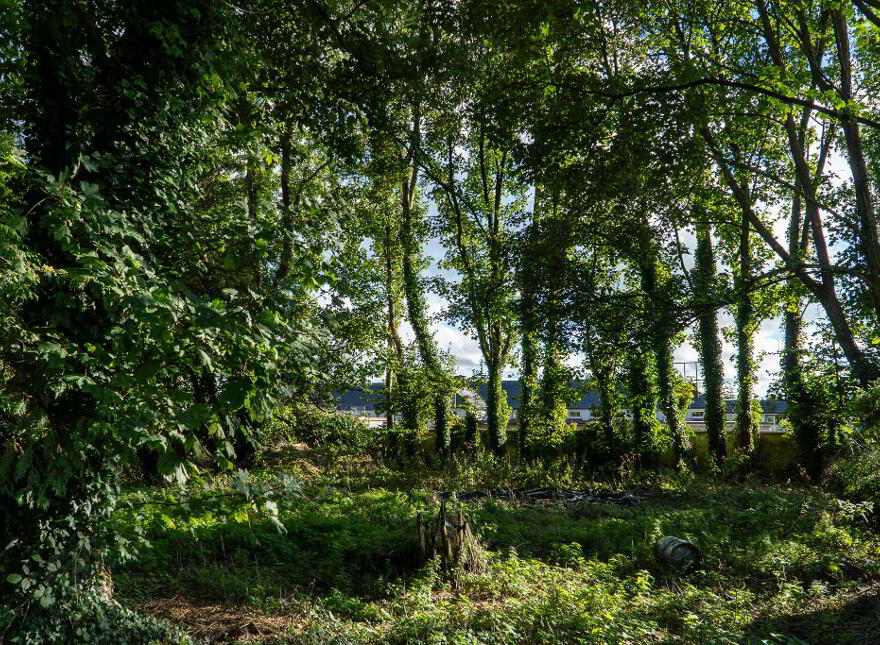 Eagle Lodge, Convent Road, Roscommon Town, F42KV09
