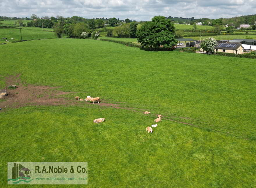 C. 26 Acre Agricultural Holding, Lands At 120 Bush Road, Dungannon, BT71 6QG