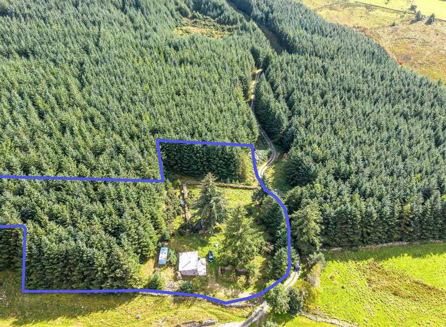 Quintagh, Valleymount, W91AYX6