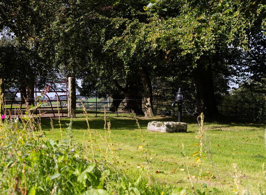 Lagan Lodge, Lower Quilly Road, Dromore, BT25 1NL