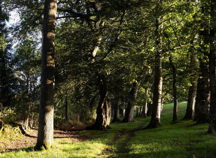 Lagan Lodge, Lower Quilly Road, Dromore, BT25 1NL