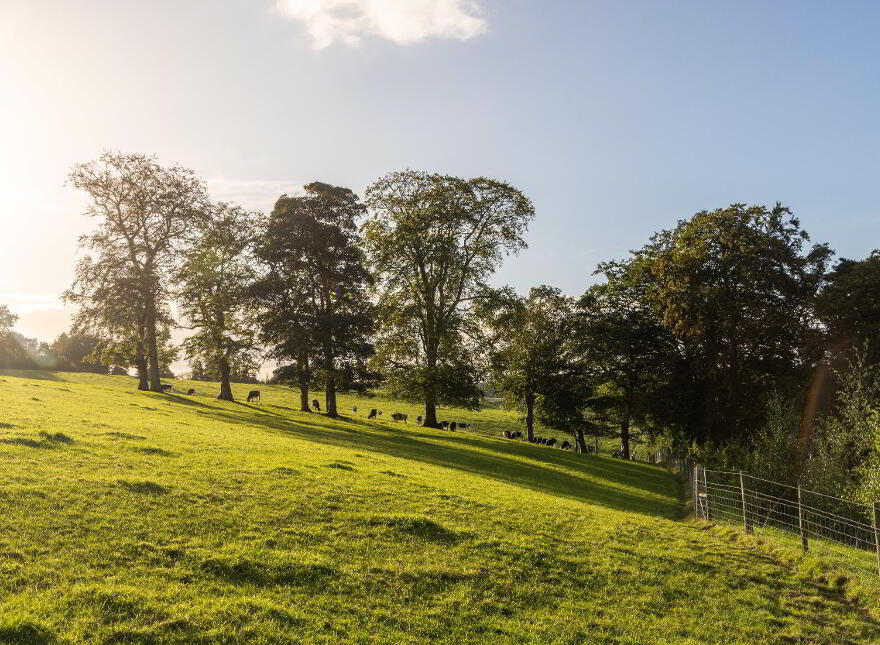 Lagan Lodge, Lower Quilly Road, Dromore, BT25 1NL