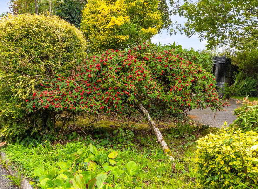 Ballinastraw, Glenbrien, Enniscorthy, Y21YW29