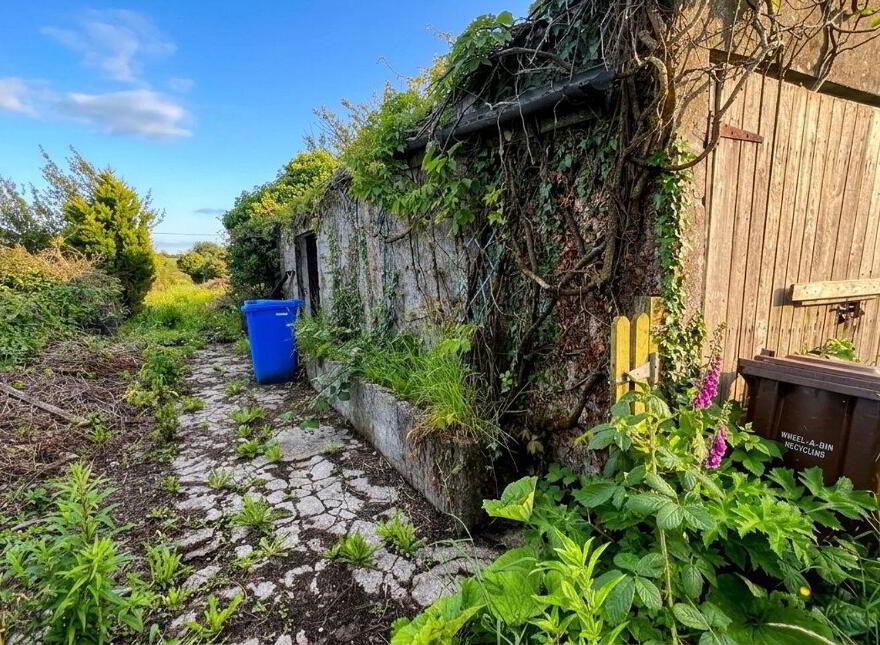 67 Brackernagh, Ballinasloe, H53D328