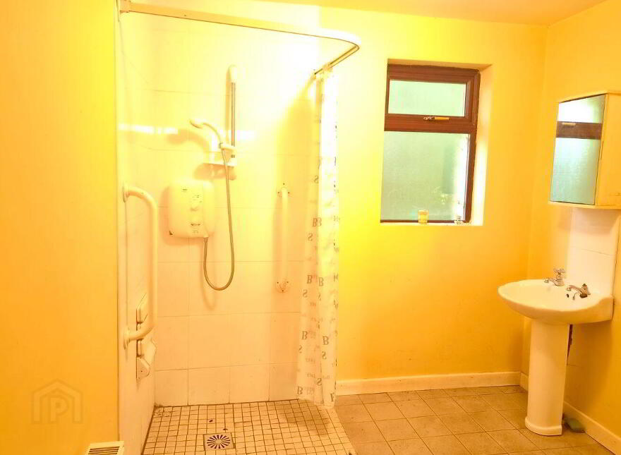 Ballincurry, Kilrooskey, F42E085