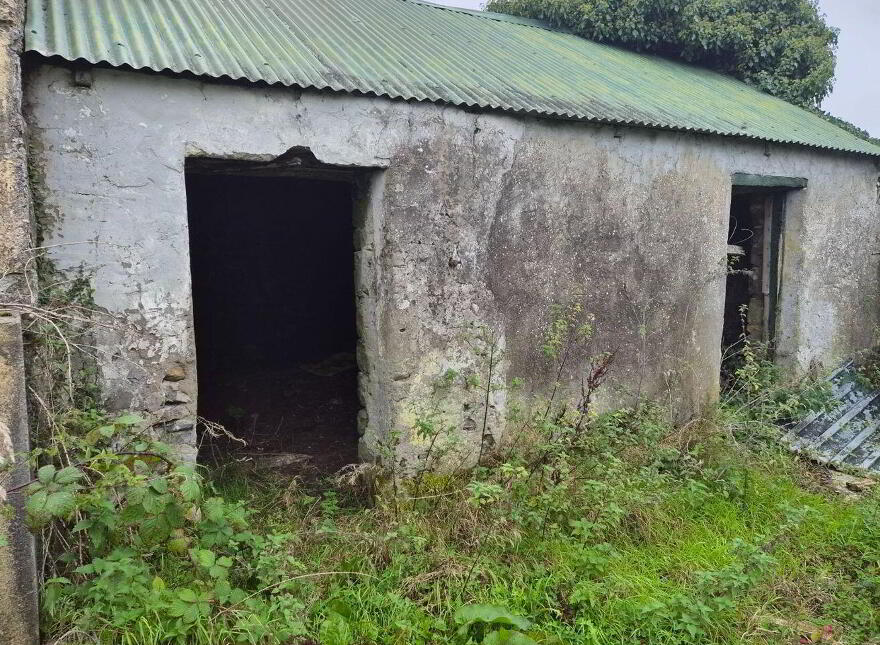 Ballincurry, Kilrooskey, F42E085