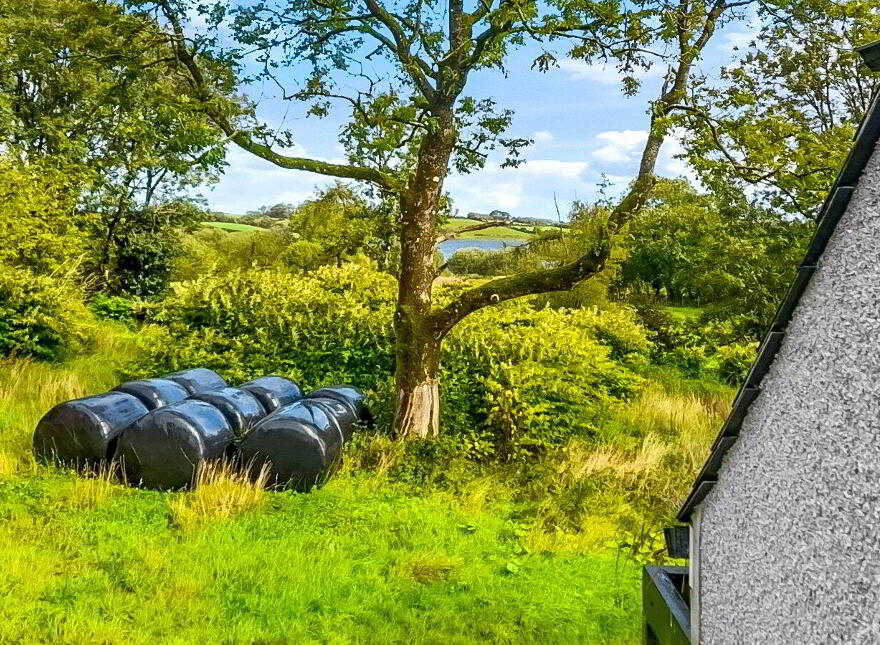 House & Additional Land, 31 Loughbracken Lane, Pomeroy, Cookstown, BT70 2DS