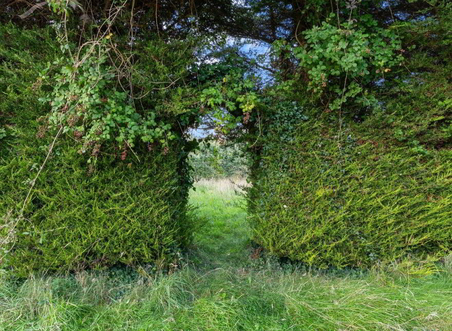 Rusheen Lane, Caltragh, Sligo, F91F379