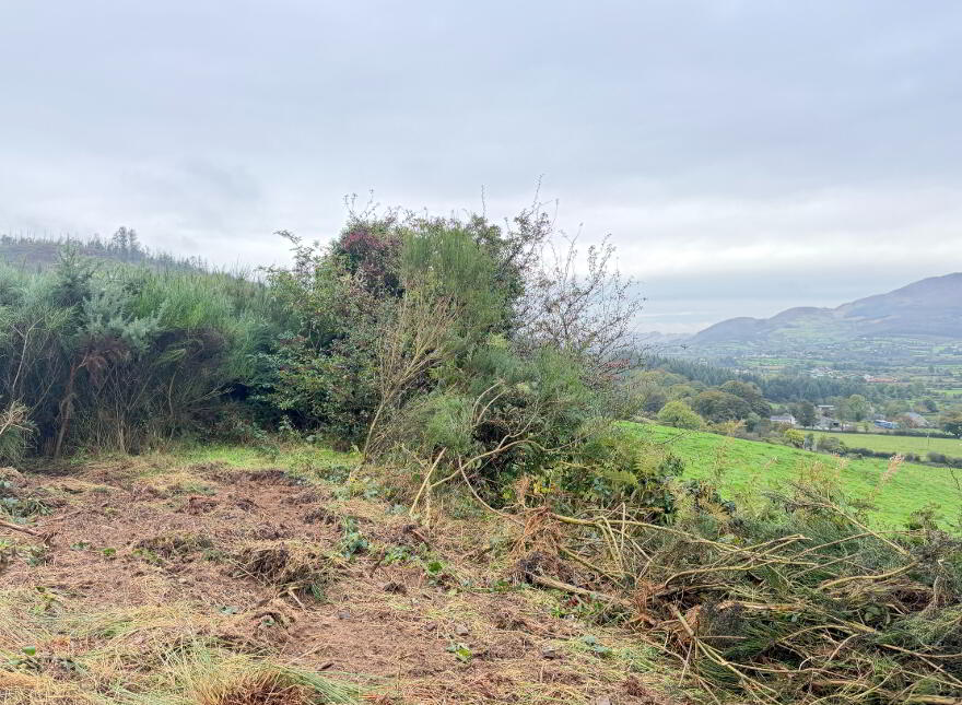 70m North East Of No.6, Carewamean Road, Killeavy, Newry, BT35 8JQ