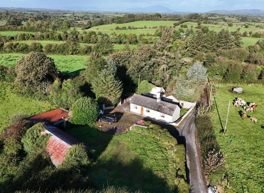 Forth Village, Kinaffe, Swinford, F12W2T8 photo