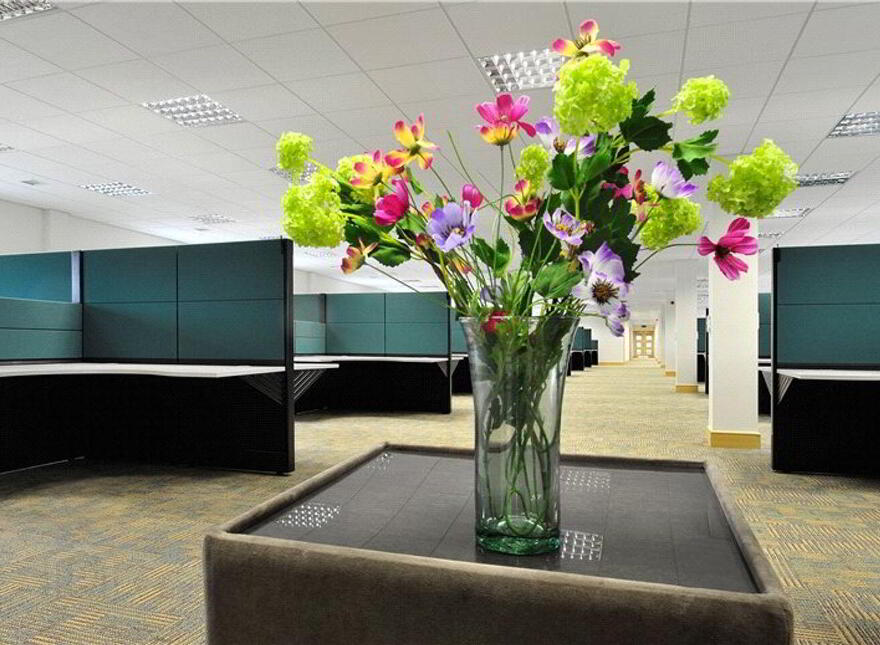 Lacken Plaza, Bracetown Business Park, Clonee, Clonee, D15