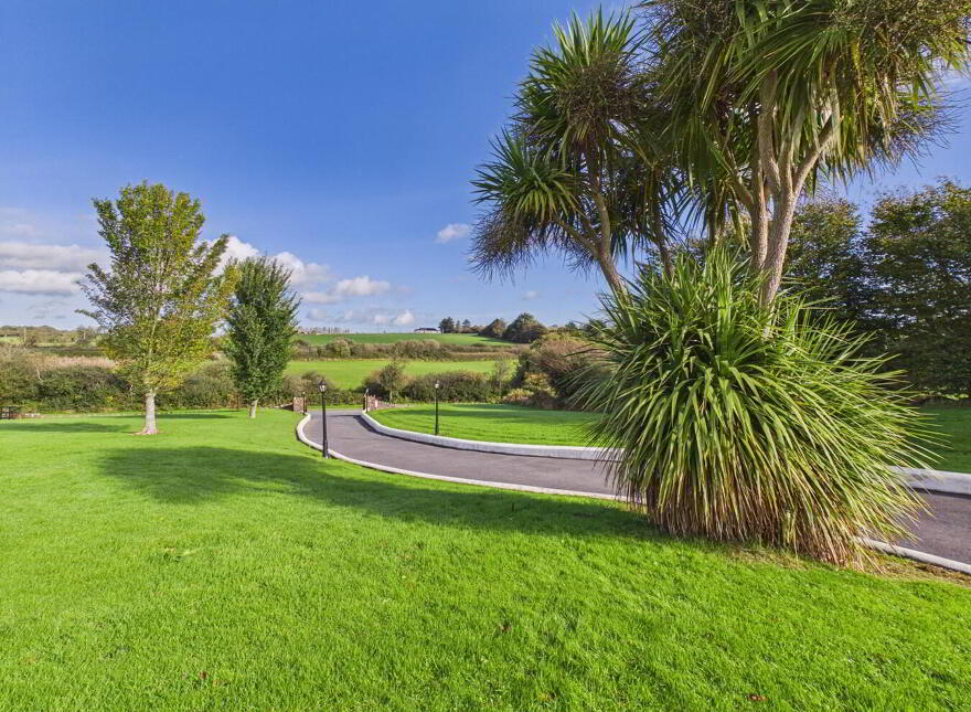 Ballybrack, Kilmacthomas, X42K296