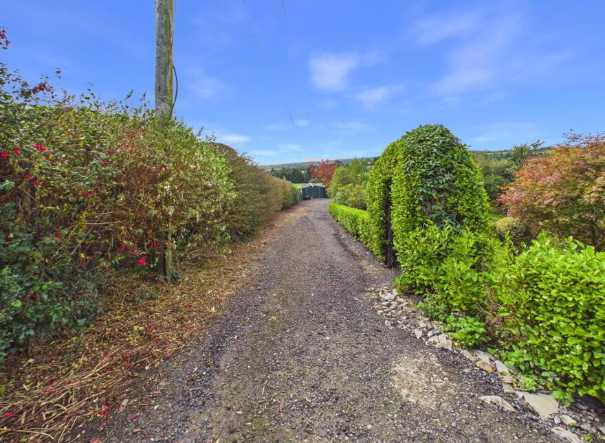 Ballygowan, Kilmaganny, R95H0K7