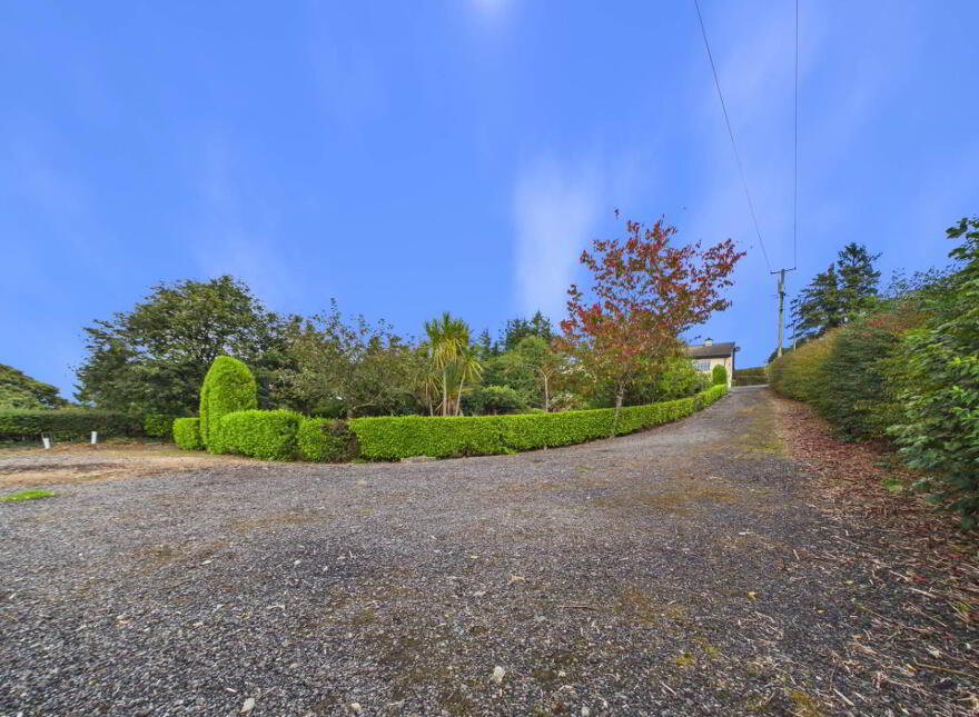 Ballygowan, Kilmaganny, R95H0K7
