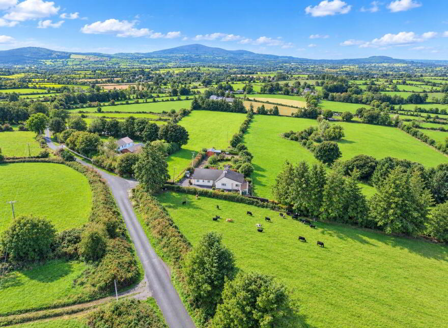 Ballygowan, Kilmaganny, R95H0K7