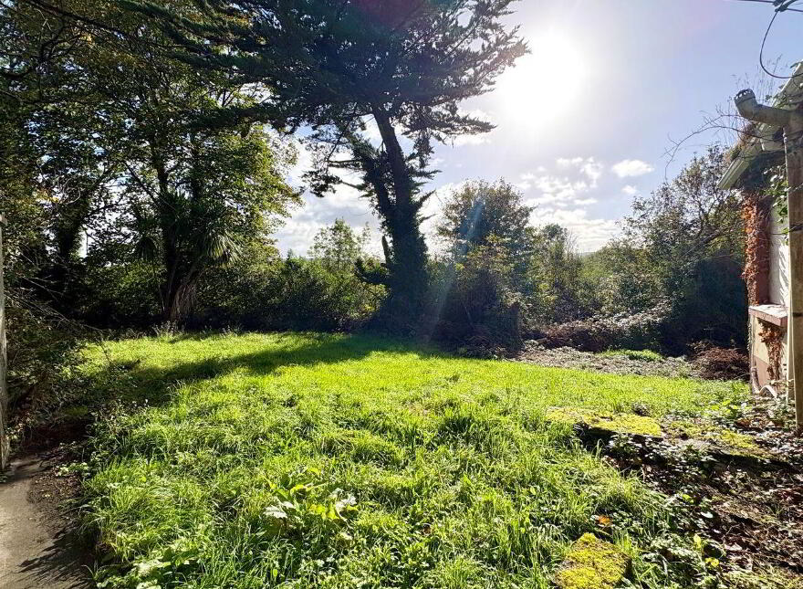 Castletown, Kilflynn, V92W0X5