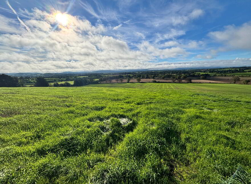 Knockevagh, Rathvilly