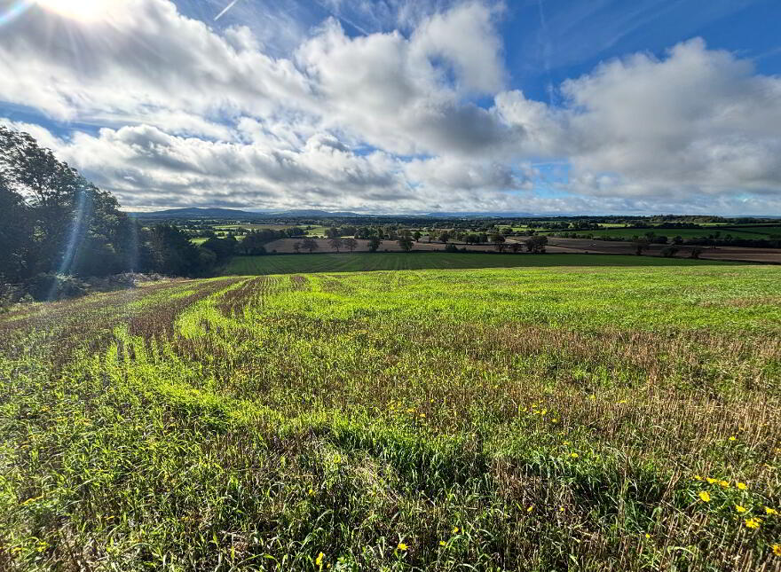 Knockevagh, Rathvilly