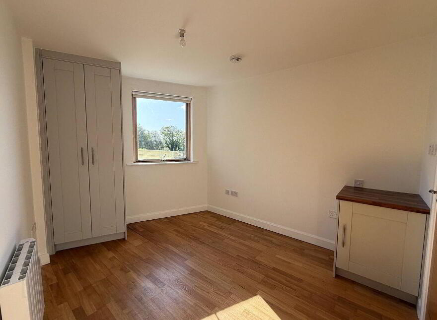 20 Crescent Court, Father Griffin Road, City Centre, H91D8E8