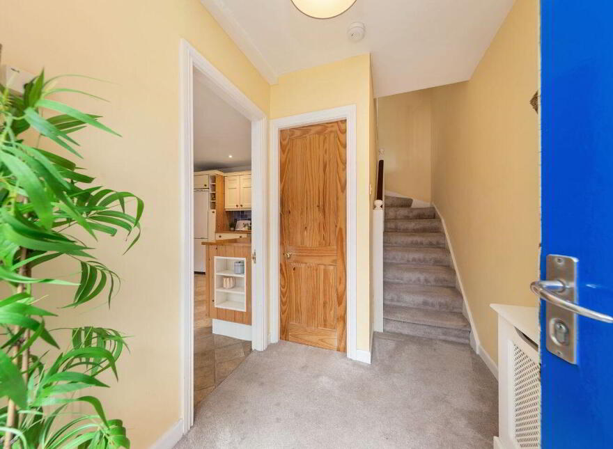 1 Wentworth, Eblana Villas, Grand Canal Dock, South Dublin City, D02N290