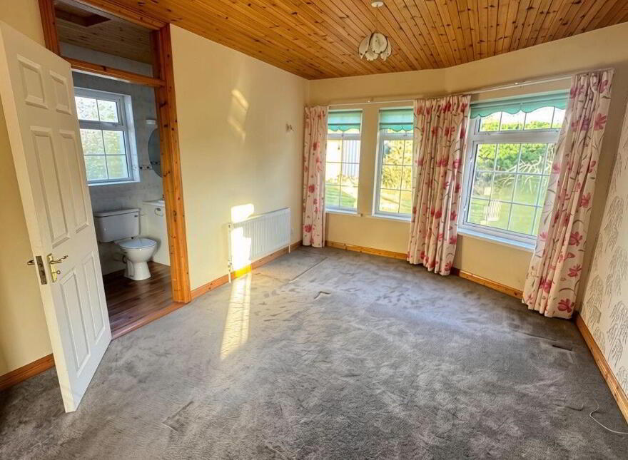 Ballymakeegan, Longford Town, N39P6D9