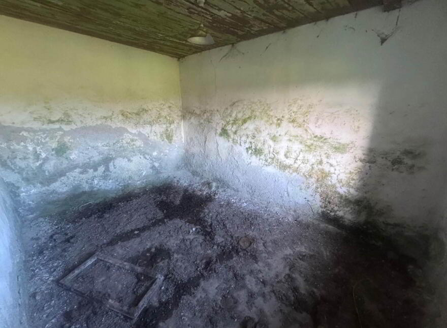 Tirlahode Upper (Cn7278f), Cavan Town, H12W264