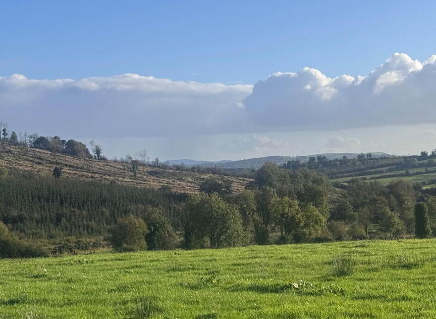 Tirlahode Upper (Cn7278f), Cavan Town, H12W264