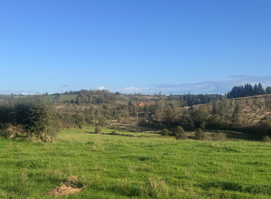 Tirlahode Upper (Cn7278f), Cavan Town, H12W264