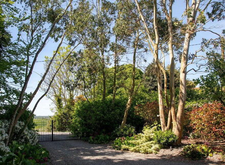 The Old Farmhouse, Hillfarm, Narraghmore, R14KF76