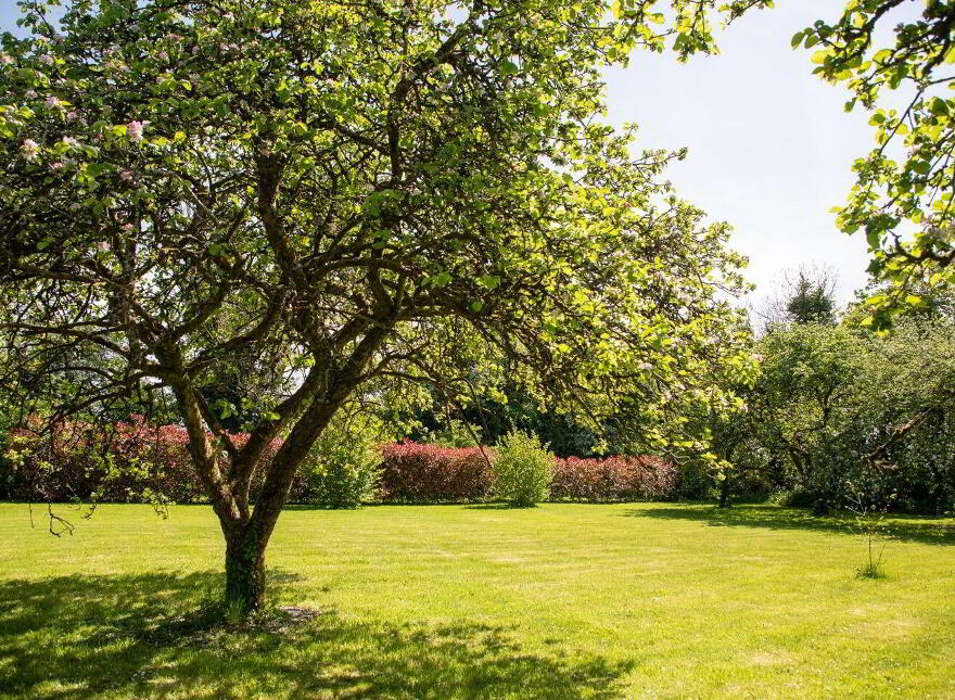 The Old Farmhouse, Hillfarm, Narraghmore, R14KF76