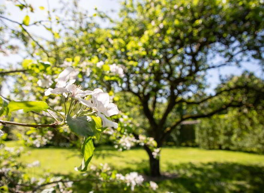 The Old Farmhouse, Hillfarm, Narraghmore, R14KF76
