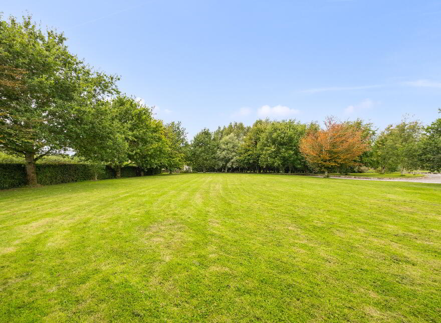 Rathglass, Tullow, R93NW66