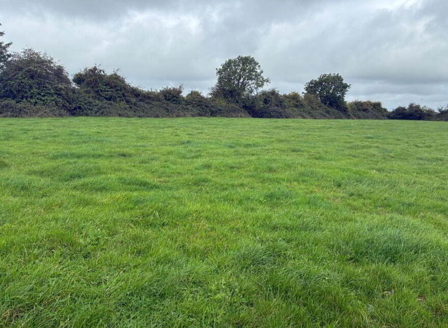 Macetown On 51 Acres ( In Lots), Dunshaughlin, A85WA09