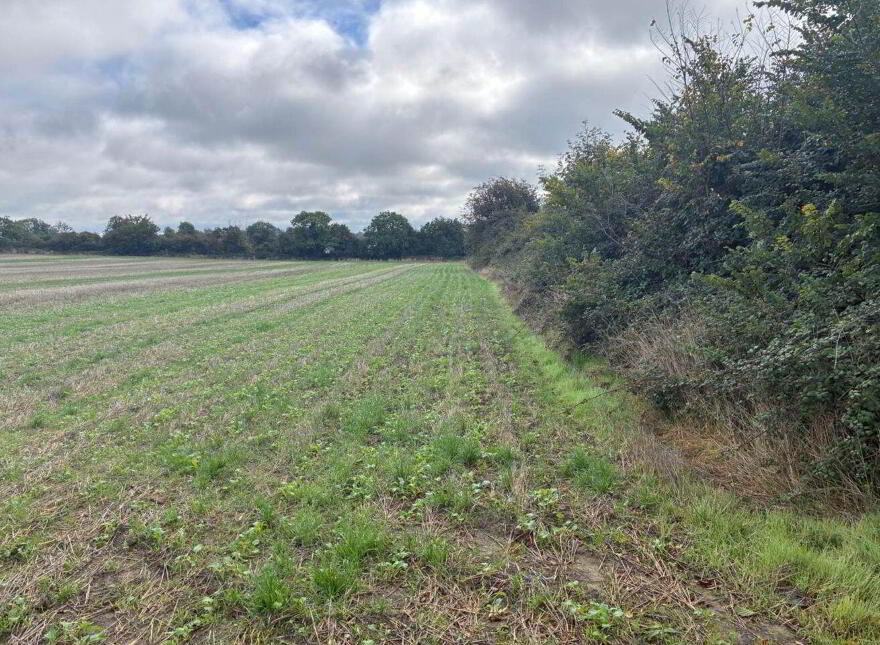 Macetown On 51 Acres ( In Lots), Dunshaughlin, A85WA09