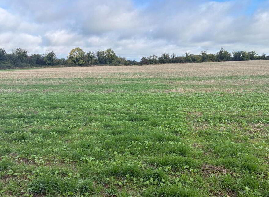 Macetown On 51 Acres ( In Lots), Dunshaughlin, A85WA09