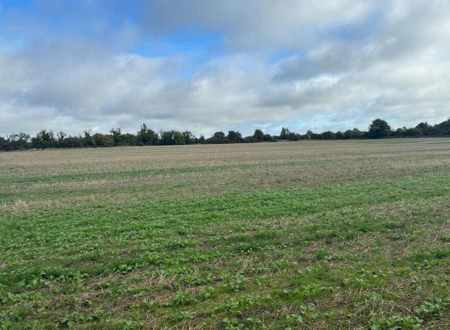 Macetown On 51 Acres ( In Lots), Dunshaughlin, A85WA09