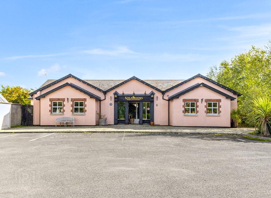 The Thatch, Traditional Bar & Restaurant, Killenard, R32NNP8