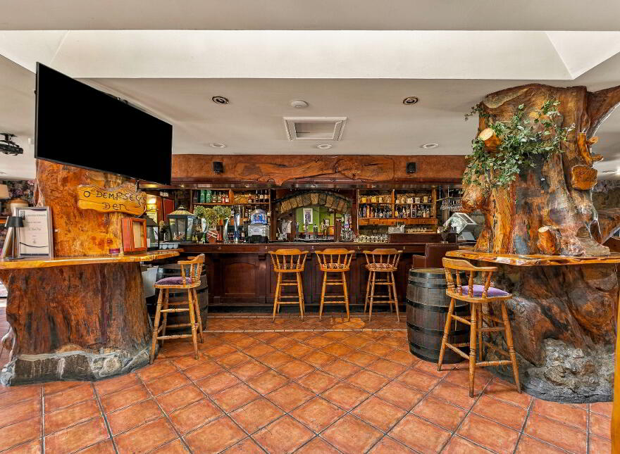 The Thatch, Traditional Bar & Restaurant, Killenard, R32NNP8