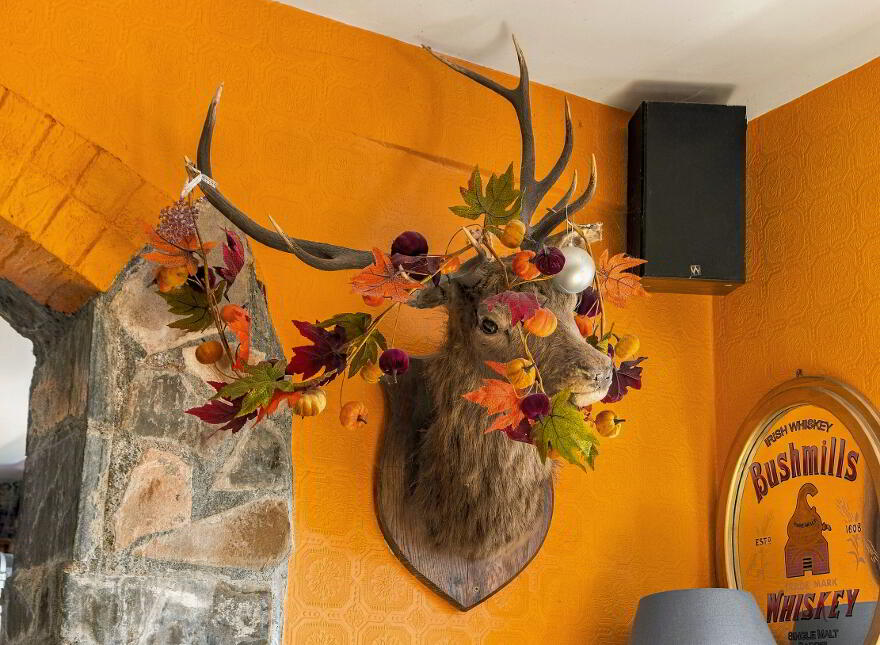 The Thatch, Traditional Bar & Restaurant, Killenard, R32NNP8